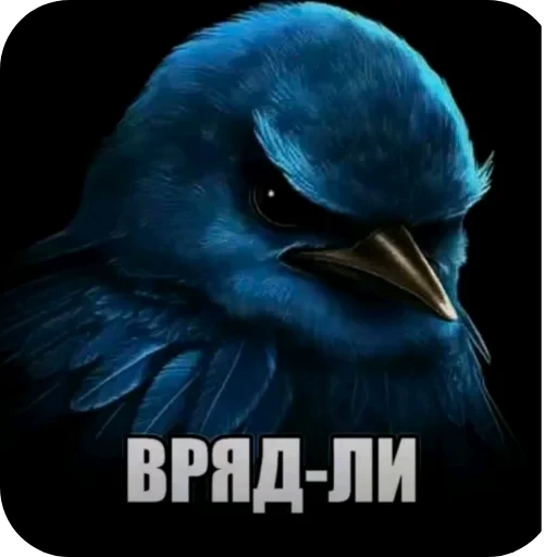 🖼 Стикер «Мемесы.» для Telegram