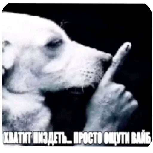 🤫 Стикер «Мемность» для Telegram