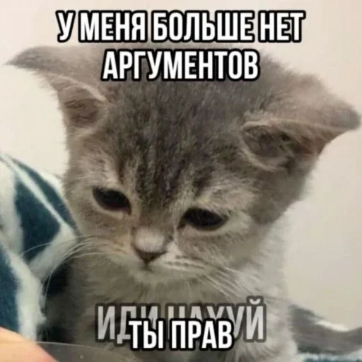 😡 Стикер «Мемность» для Telegram
