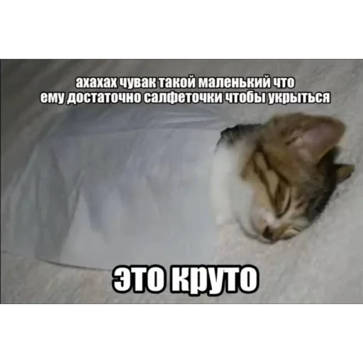 😛 Стикер «Мемность» для Telegram