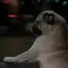 🐕 Эмодзи «Люди в черном» для Telegram