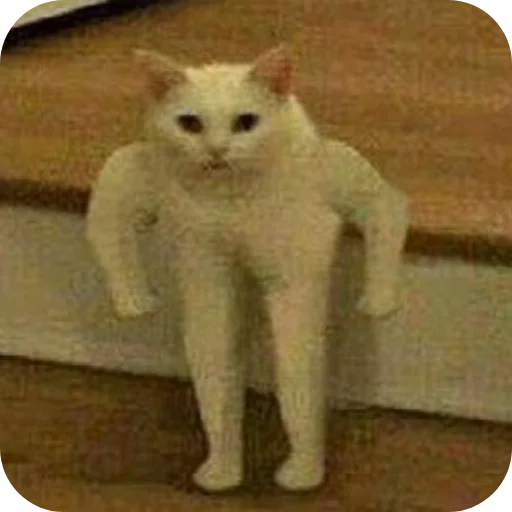 🐱 Стикер «Meow fun» для Telegram