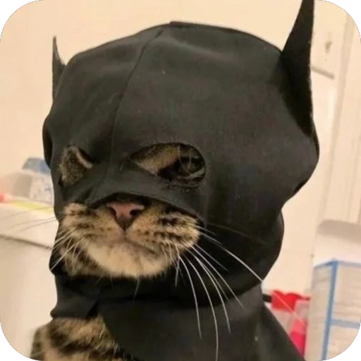 😈 Стикер «Meow Peow» для Telegram