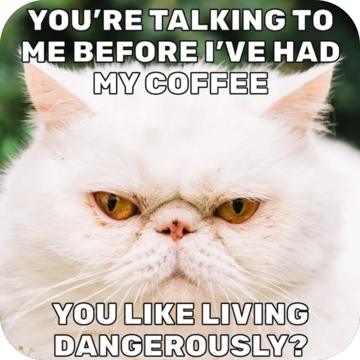 😡 Стикер «Meow Peow» для Telegram