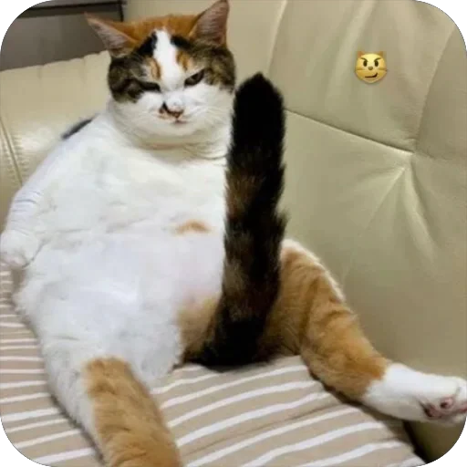🍆 Стикер «Meow Peow» для Telegram