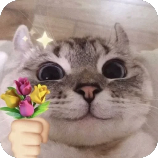💐 Стикер «Meow Peow» для Telegram