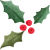 🍃 Эмодзи «🍪 Merry Christmas - новогоднее» для Telegram