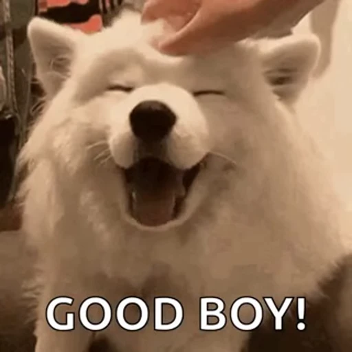 🤩 Стикер «Beststickers from slime» для Telegram