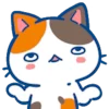 🤷‍♂️ Эмодзи «Min Min Cat» для Telegram