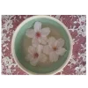 🤩 Эмодзи «mint ice cream» для Telegram