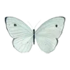 🦋 Эмодзи «Набор эмоджи с мятным рандомчиком» для Telegram