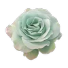 🌹 Эмодзи «Набор эмоджи с мятным рандомчиком» для Telegram