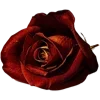 🌹 Эмодзи «Red» для Telegram
