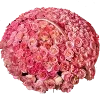 💐 Эмодзи «Red» для Telegram