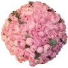 💐 Эмодзи «Red» для Telegram
