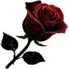 🌹 Эмодзи «Red» для Telegram