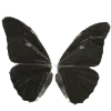 🦋 Эмодзи «Red» для Telegram