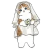 👰 Эмодзи «Котики Mofusand» для Telegram