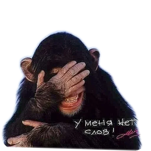 😣 Стикер «Живность_N1» для Telegram