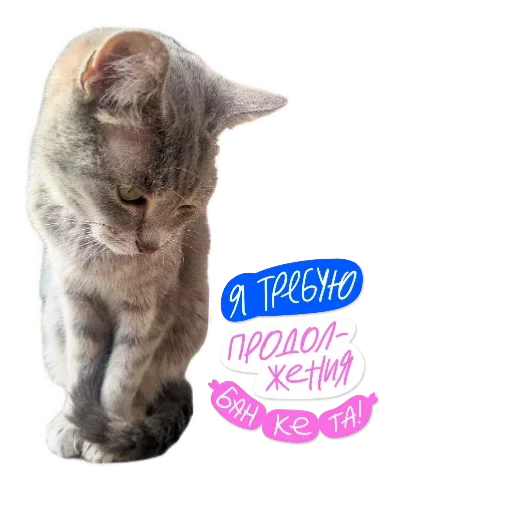 🐱 Стикер «Живность_N1» для Telegram