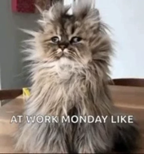 🤨 Стикер «Monday» для Telegram