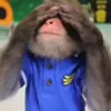 🙈 Эмодзи «Monkey - обезьянки пон эмоджи» для Telegram