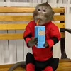 🙈 Эмодзи «Monkey - обезьянки пон эмоджи» для Telegram