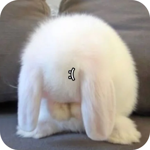 😔 Стикер «₍⑅ᐢ. .ᐢ₎ ⁺ . Bunny┈ ⸝ ⸝ ദ» для Telegram