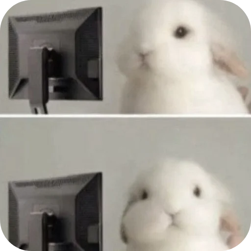 🐇 Стикер «₍⑅ᐢ. .ᐢ₎ ⁺ . Bunny┈ ⸝ ⸝ ദ» для Telegram