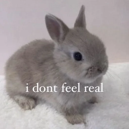 🐰 Стикер «₍⑅ᐢ. .ᐢ₎ ⁺ . Bunny┈ ⸝ ⸝ ദ» для Telegram