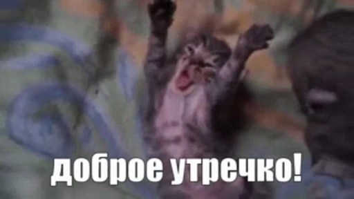😘 Стикер «Morning» для Telegram