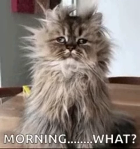 😘 Стикер «Morning» для Telegram