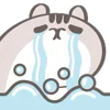 😭 Эмодзи «Cats Sally» для Telegram