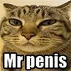 Эмодзи Mr Penis Emoji для Telegram — скачать