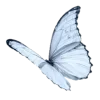 🦋 Эмодзи «Muichiro Tokito - Муичиро Токито - персонаж из Клинок Рассекающий Демонов» для Telegram