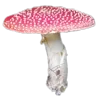🍄 Эмодзи «Грибной Пиздец» для Telegram