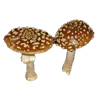 🍄 Эмодзи «Грибной Пиздец» для Telegram