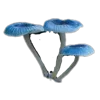 🍄 Эмодзи «Грибной Пиздец» для Telegram