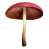 🍄 Эмодзи «Грибной Пиздец» для Telegram