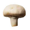 🍄 Эмодзи «Грибной Пиздец» для Telegram