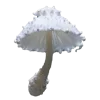 🍄 Эмодзи «Грибной Пиздец» для Telegram