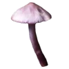 🍄 Эмодзи «Грибной Пиздец» для Telegram