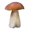 🍄 Эмодзи «Грибной Пиздец» для Telegram