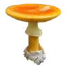 🍄 Эмодзи «Грибной Пиздец» для Telegram