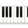 🤩 Эмодзи «⠀ ⠀ ⠀ ⠀⠀ Music» для Telegram