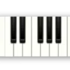 🤩 Эмодзи «⠀ ⠀ ⠀ ⠀⠀ Music» для Telegram