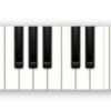 🤩 Эмодзи «⠀ ⠀ ⠀ ⠀⠀ Music» для Telegram