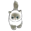 🐈 Эмодзи «MyCatsClub» для Telegram