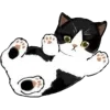 🐈 Эмодзи «MyCatsClub» для Telegram