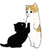 🐈 Эмодзи «MyCatsClub» для Telegram